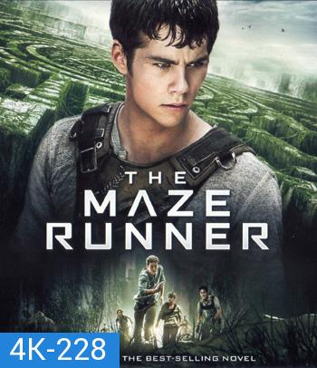 4K - Maze Runner (2014) วงกตมฤตยู - แผ่นหนัง 4K UHD