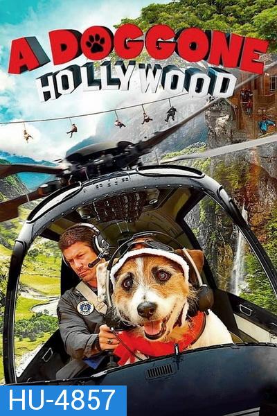 A Doggone Hollywood (2017)