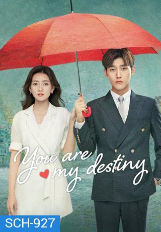 You Are My Destiny (2020) พรหมลิขิตนี้คือเธอ (36 ตอนจบ)