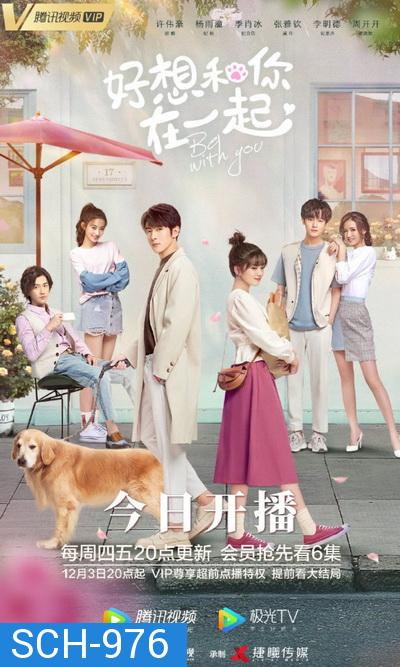 ละลายรักนายมาดนิ่ง Be With You [ EP.1-24 END ]