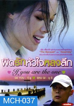 If You Are The One ผิดรักหัวใจหลงลึก 