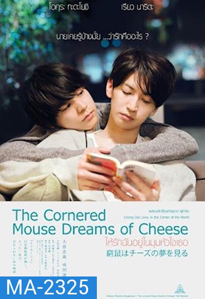 The Cornered Mouse Dreams of Cheese (2020) ให้รักฉันอยู่ในมุมหัวใจเธอ