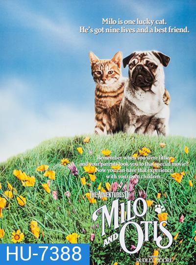 The Adventures of Milo and Otis (1986) แมวจ๋าหมาอยู่นี่