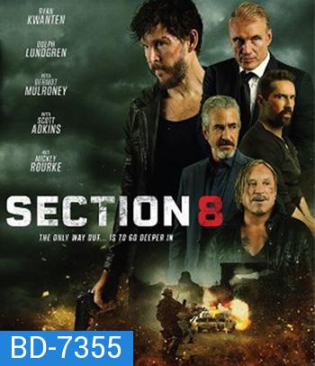 Section 8 (2022)