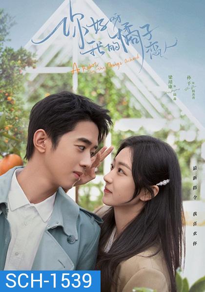 A Robot in the Orange Orchard (2022) ภูมิแพ้หัวใจยัยโรบอต (30 ตอน)