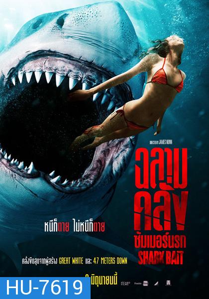 ฉลามคลั่ง ซัมเมอร์นรก Shark Bait (2022)