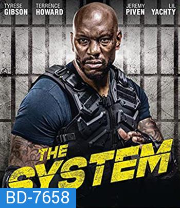 The System (2022)