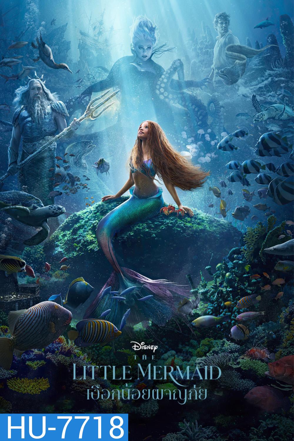 (Zoom ซูม) The Little Mermaid (2023) เงือกน้อยผจญภัย (ดูภาพตัวอย่างด้านใน)