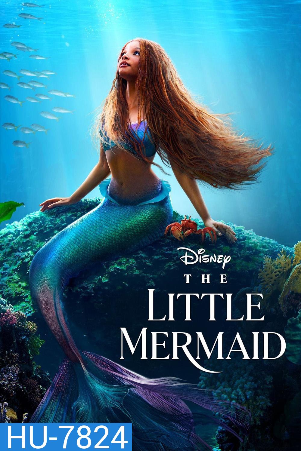 [ชนโรง!..ชัด +  V.2 - ดูรูปตัวอย่างด้านล่าง ] The Little Mermaid (2023) เงือกน้อยผจญภัย