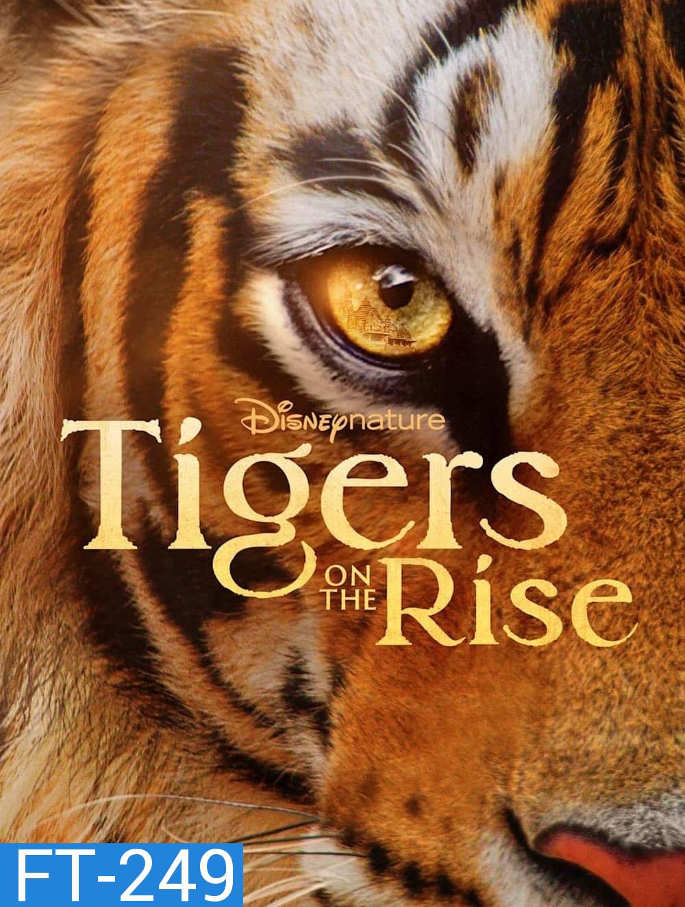 Tigers on the Rise (2024)