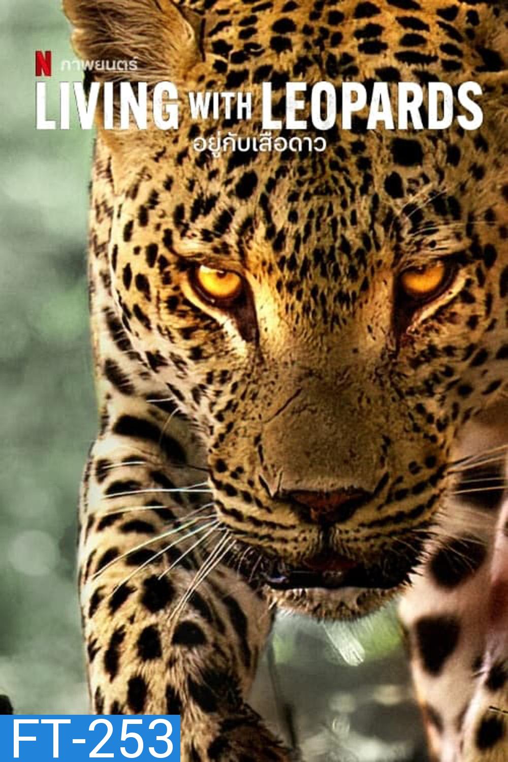 Living with Leopards (2024) อยู่กับเสือดาว